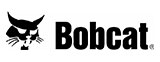 Bobcat